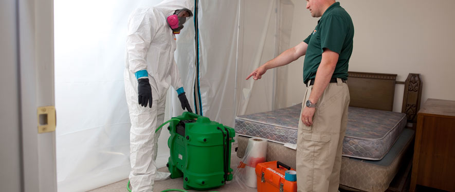 Fort Myers, FL mold removal process